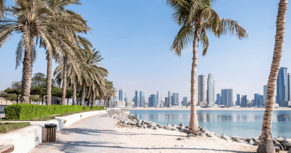 View of Al Mamzar Beach Park in Dubai, featuring palm trees, white sand, and blue water with a few people swimming and sunbathing.