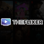 The Flixer Streaming Platform