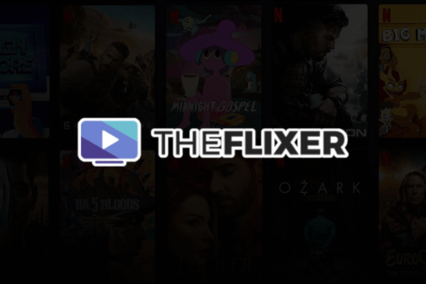 The Flixer Streaming Platform