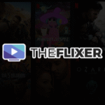 The Flixer Streaming Service